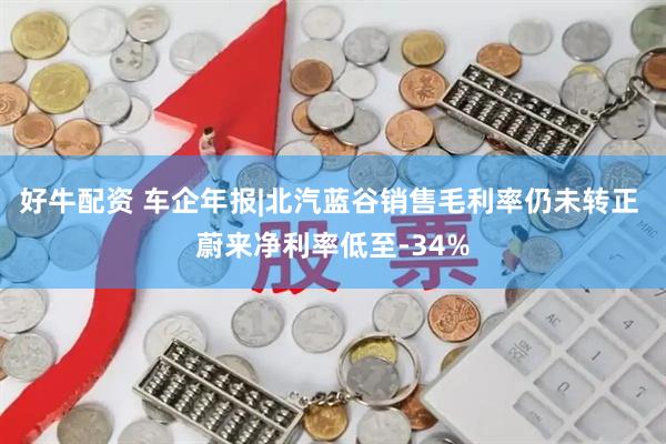 好牛配资 车企年报|北汽蓝谷销售毛利率仍未转正 蔚来净利率低至-34%