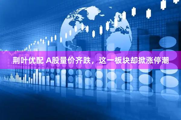 荆叶优配 A股量价齐跌，这一板块却掀涨停潮