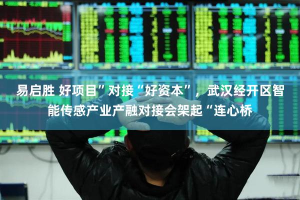 易启胜 好项目”对接“好资本”，武汉经开区智能传感产业产融对接会架起“连心桥