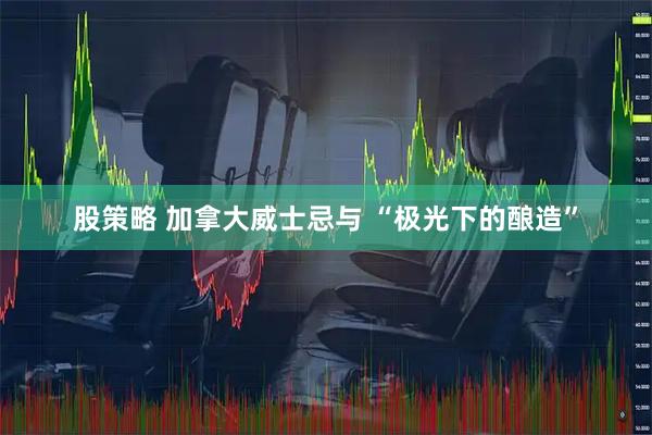 股策略 加拿大威士忌与 “极光下的酿造”