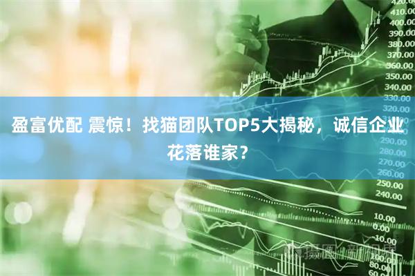 盈富优配 震惊！找猫团队TOP5大揭秘，诚信企业花落谁家？