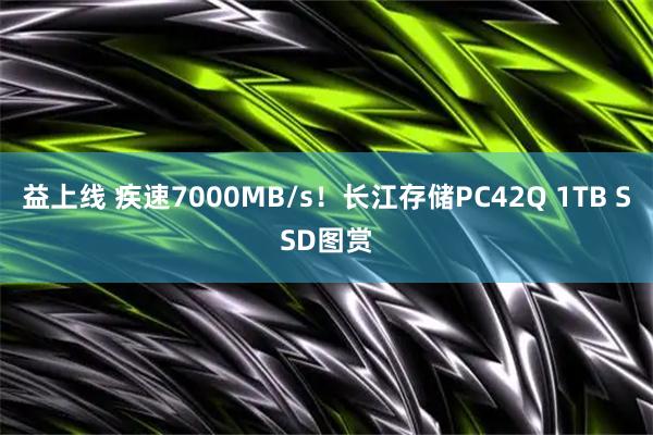 益上线 疾速7000MB/s！长江存储PC42Q 1TB SSD图赏