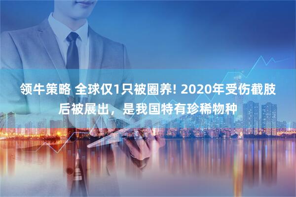 领牛策略 全球仅1只被圈养! 2020年受伤截肢后被展出,是我国特有珍稀物种